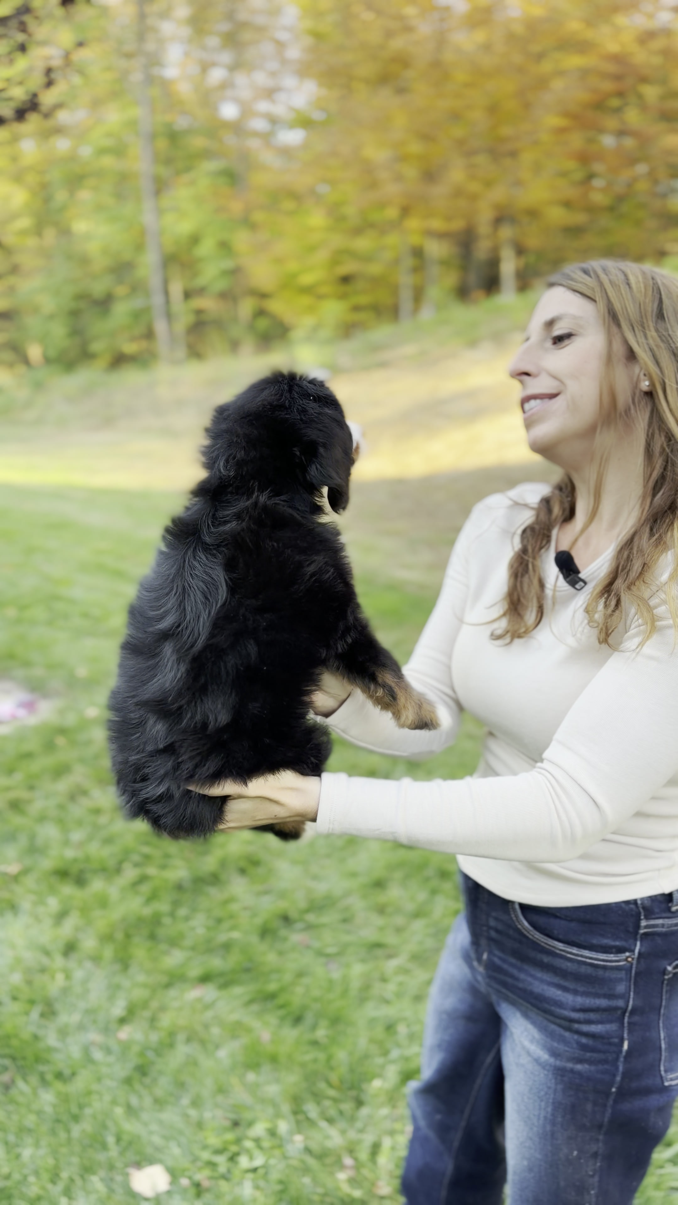 Michelle, Tri Colored, girl, Mini Bernedoodle, puppy at Down Home Doodle