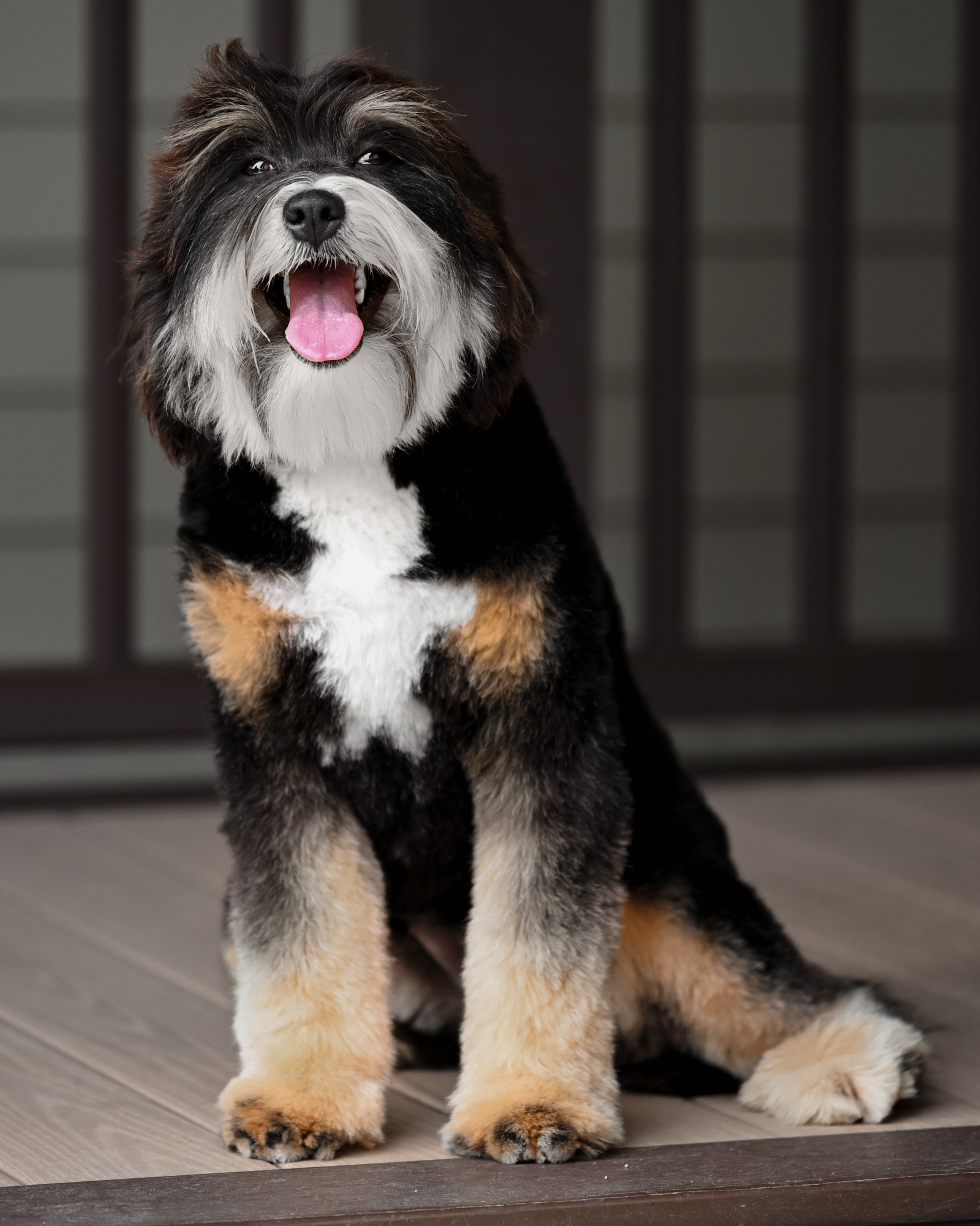 Bella 2, photo 11