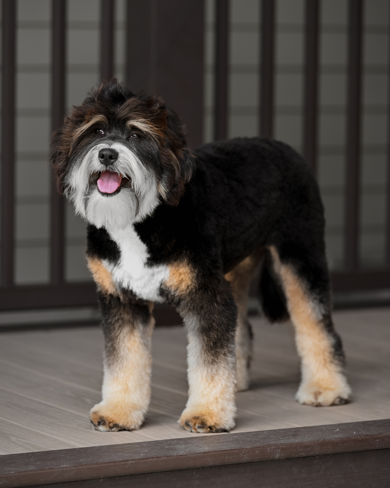 Bella 2, photo 10