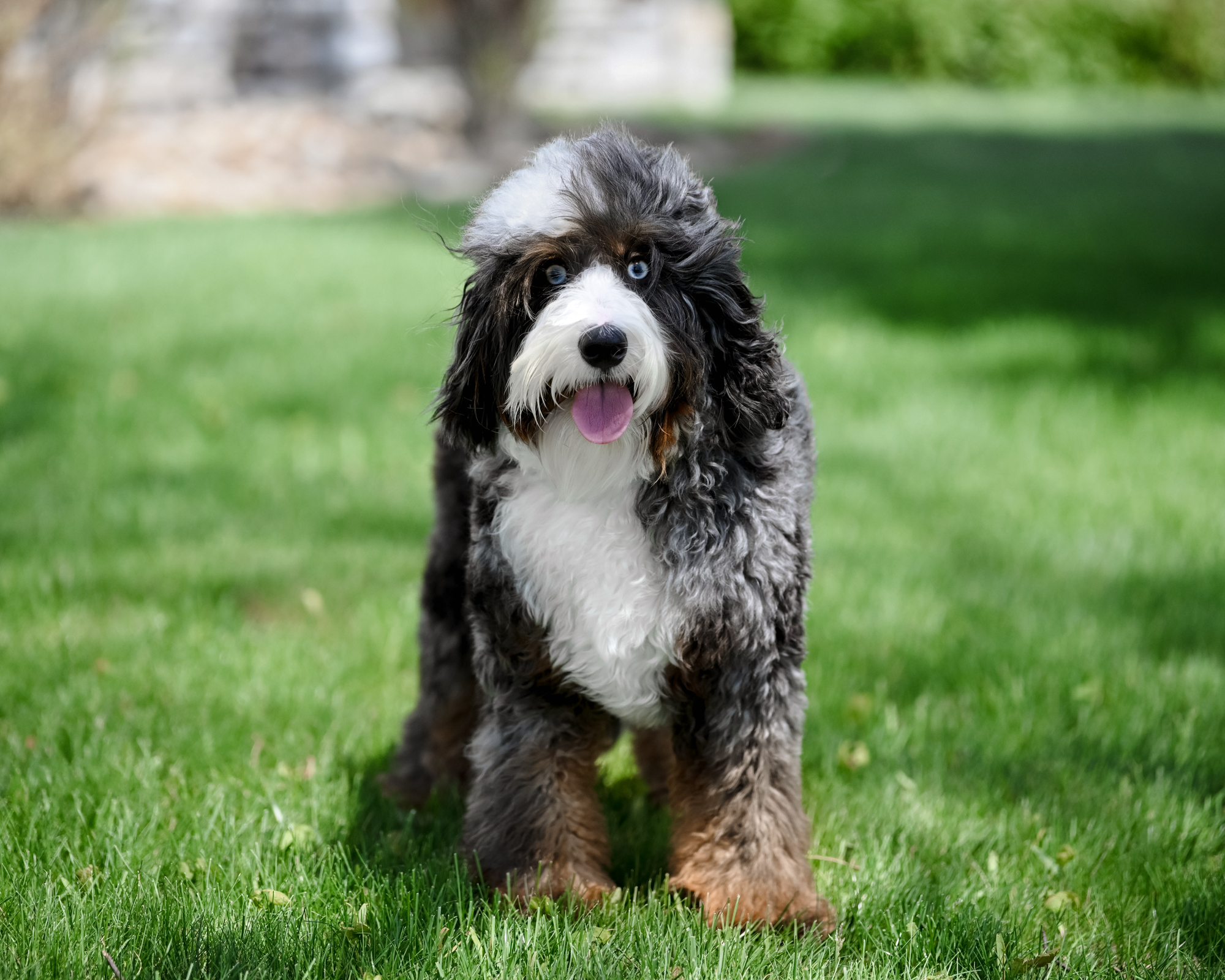 Maya, photo 9