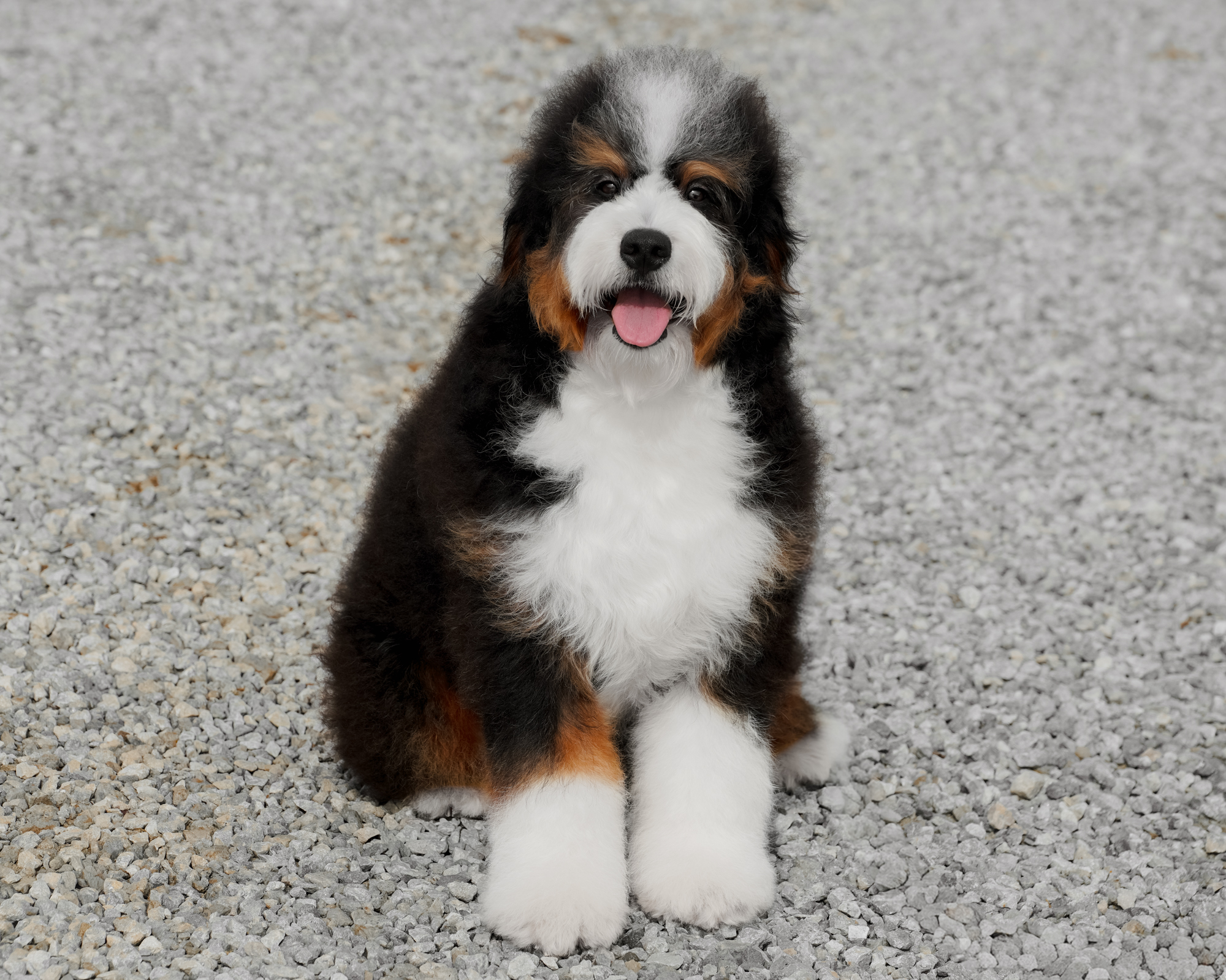 Winnie, photo 6