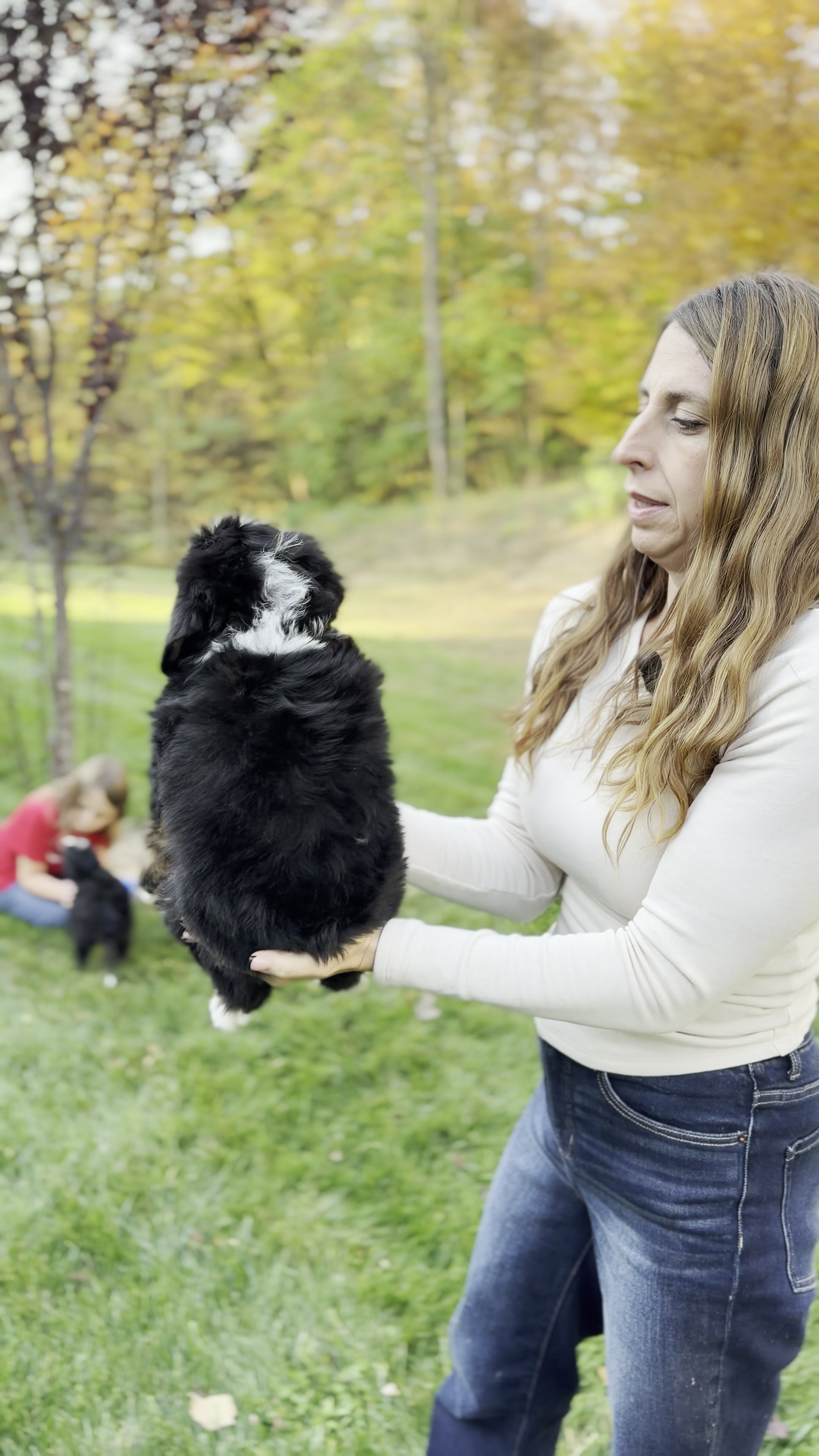 Melania, Tri Colored, girl, Mini Bernedoodle, puppy at Down Home Doodle