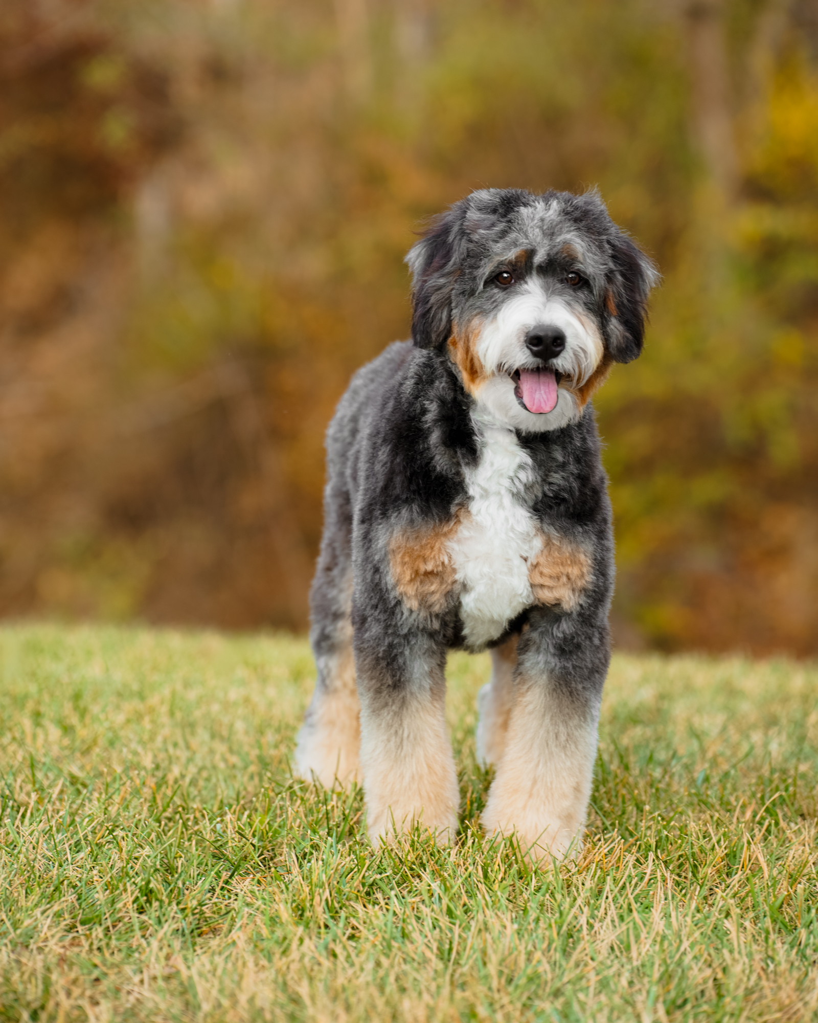 Mayzie, photo 3