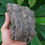 Thumbnail: Columbian Mammoth Tooth Section - Florida River