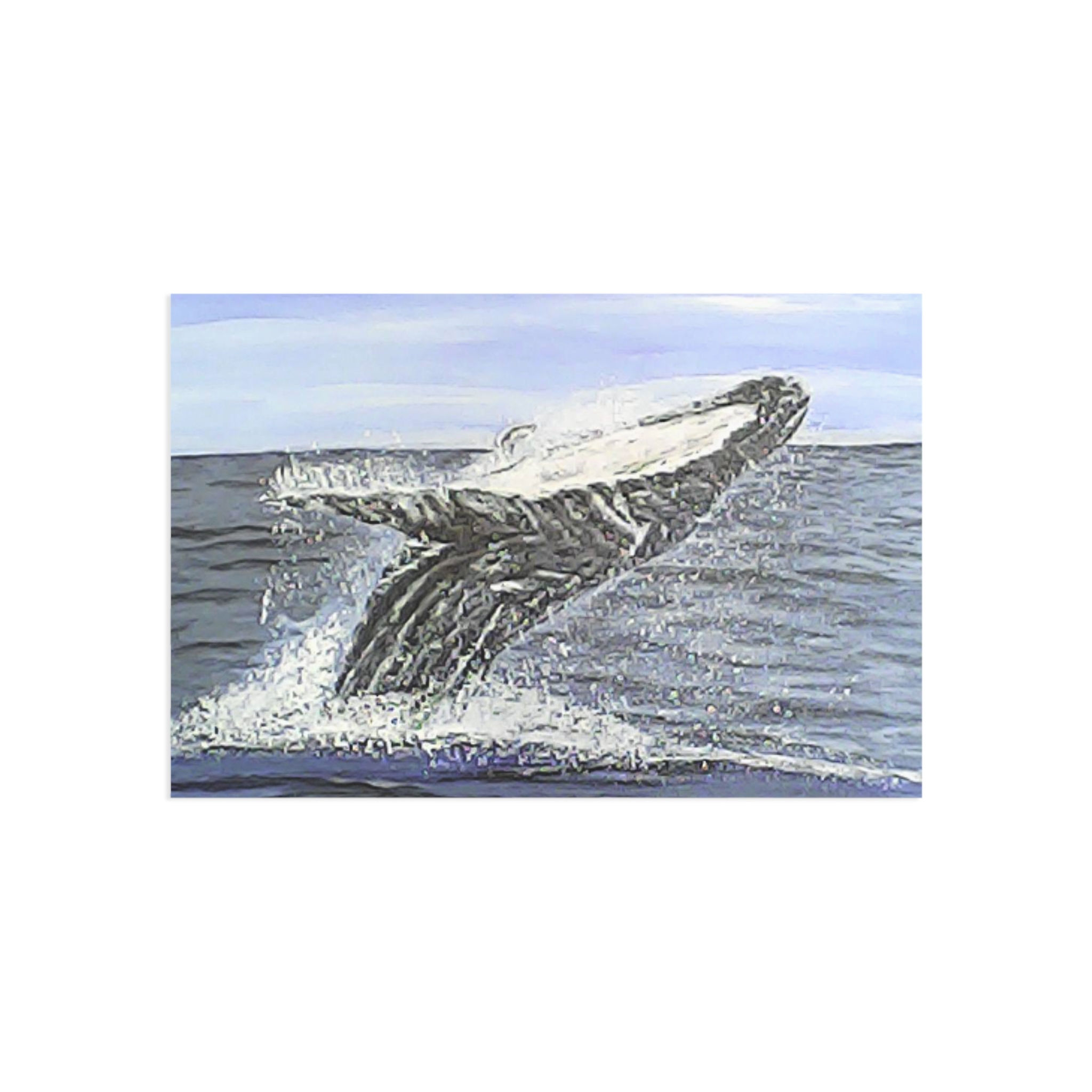 Whale Fine Art Postcards, Ocean Lover's Wall Art, Nature Gift, Coastal Decor