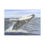 الصورة المصغرة: Whale Fine Art Postcards, Ocean Lover's Wall Art, Nature Gift, Coastal Decor