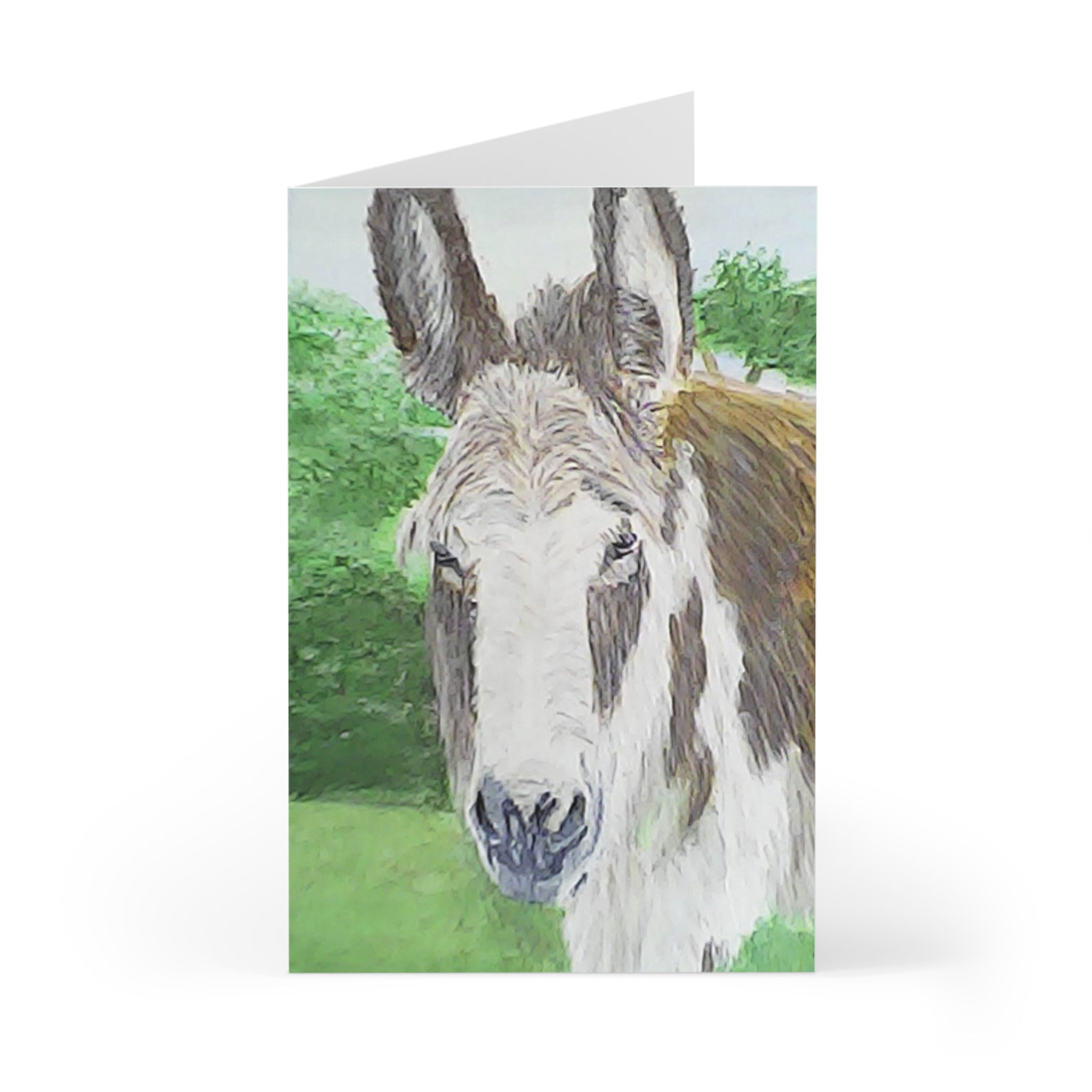 Whimsical Donkey Greeting Cards - Perfect for Birthdays, Unique Art,