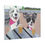 الصورة المصغرة: Dogs Enjoying Drink Matte Canvas