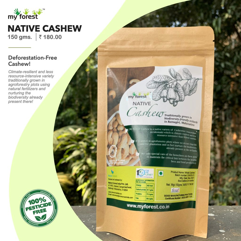My Forest Native Cashew