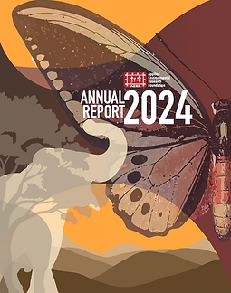 annual report 2024