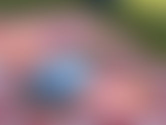 Leitura: Aventura da Mente