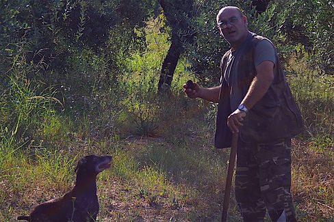 Caccia al tartufo a Roma