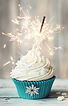 Sparkling Cupcake_edited.jpg