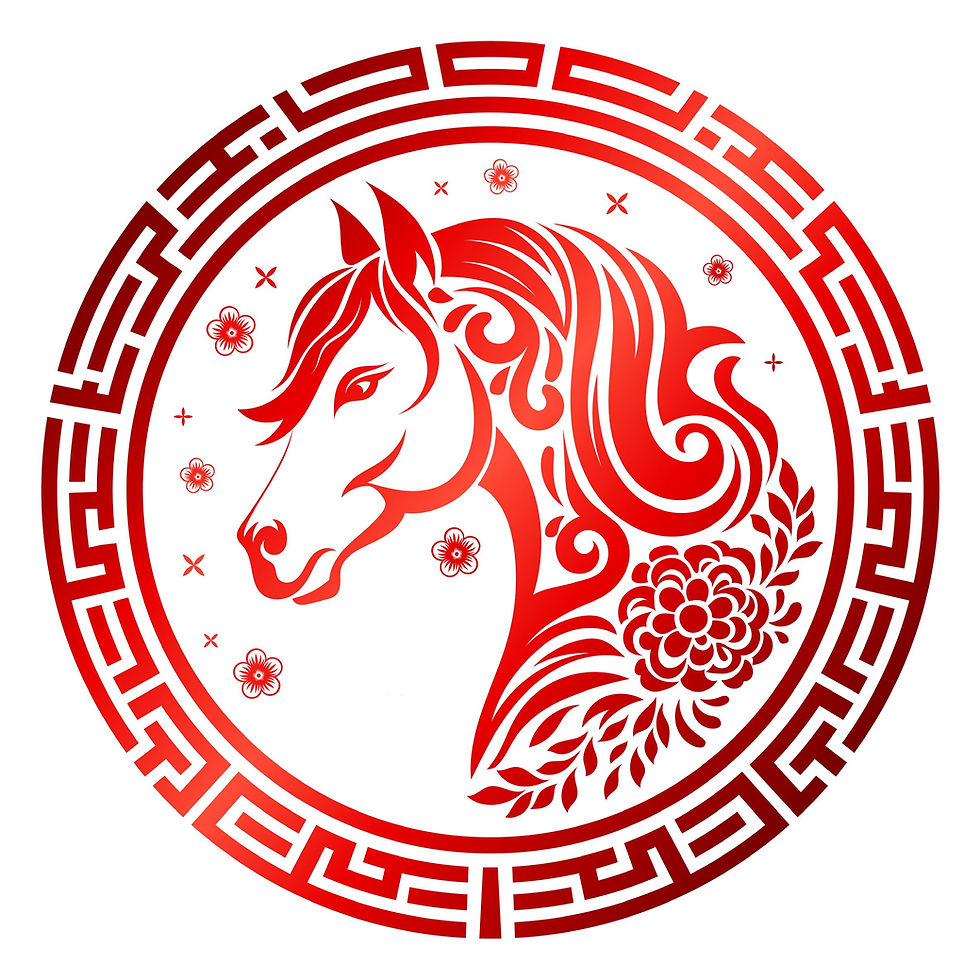 Gift Certificate Feng Shui Astrology Chart 2026"THE YEAR OF THE FIRE HORSE"