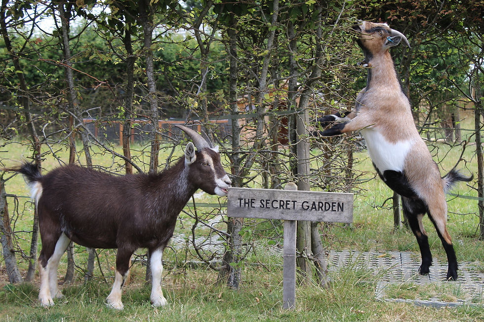 Little Pinum Site Tour - 14/07/26