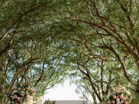 Creating Magic with Flowers — The Bloom and Social Experience