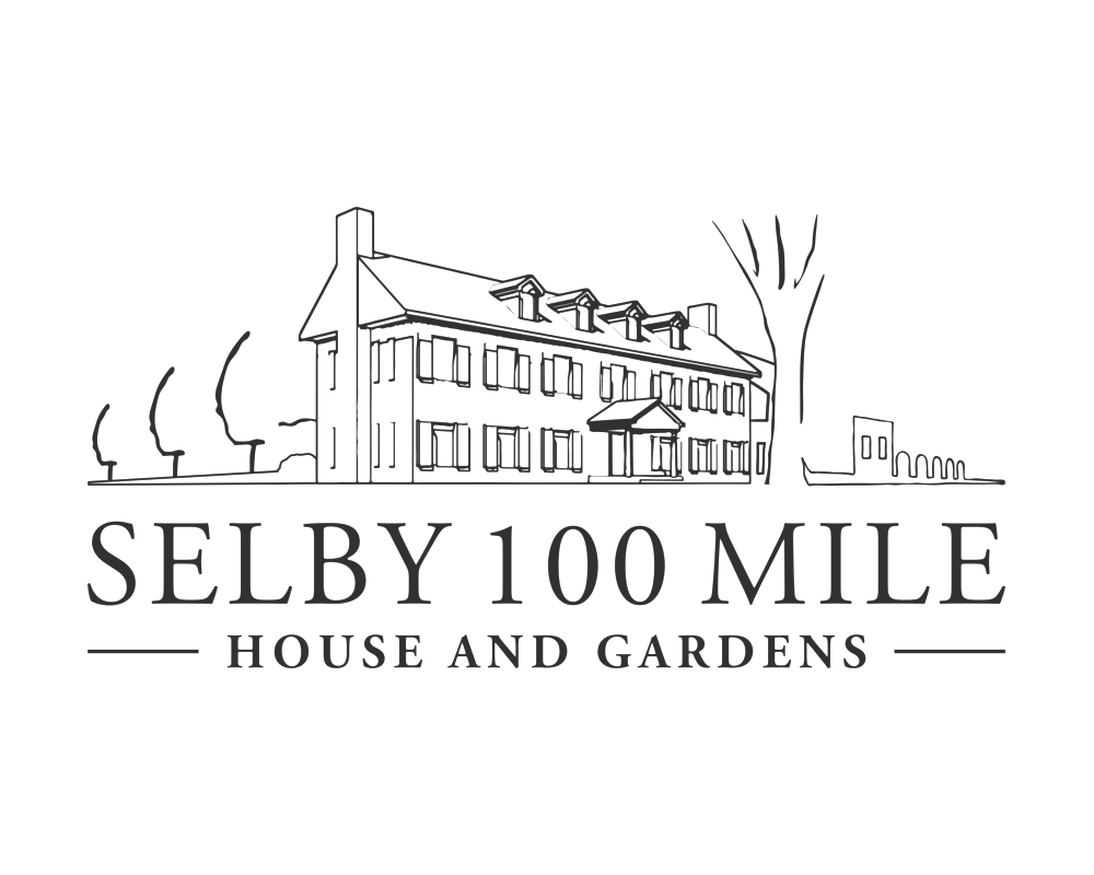 Mirage Champagne Bar