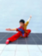 The Wushu Lab (Singapore)
