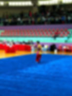The Wushu Lab (Singapore)