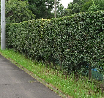 静岡の解体工事 町豊