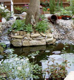 Pond Waterfall Billingshurst