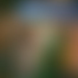 General Hospital Alum William Lipton Reacts to ‘The Runarounds’ Cancellation