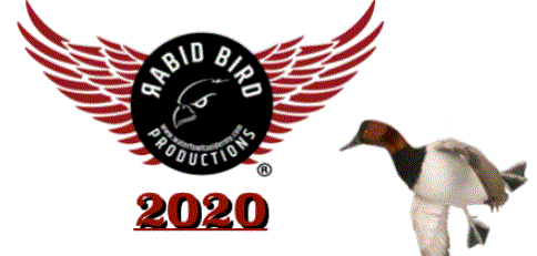 Rabid Bird Productions / Freedom