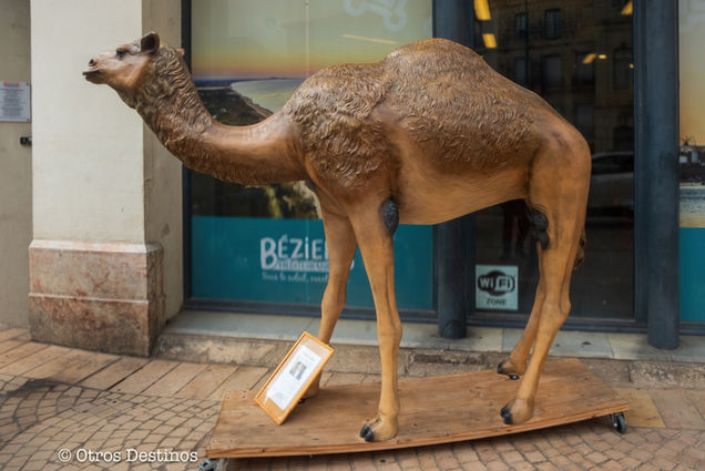 beziers camello-1.jpg
