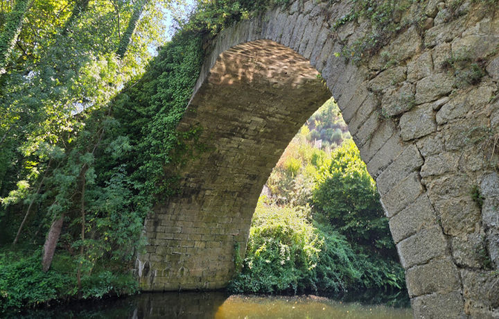 montemayor_puente-1024x683.jpg