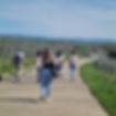 IMG-20250427-WA0086.jpg