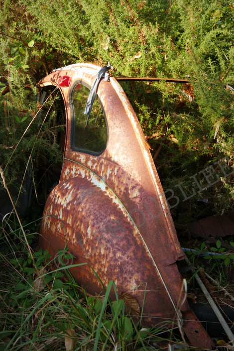 P1370756.JPG
