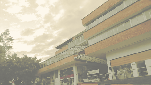Consultorio psicóloga en Bucaramanga