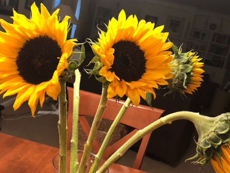 The Art of Self-Care: A Daily Practice to hold your peace.