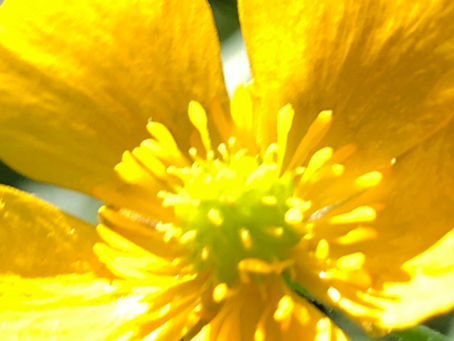 reducing anxiety through self awareness