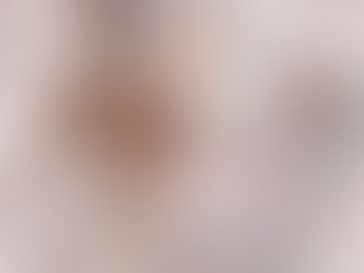 Reseña - The Duplicated Bride