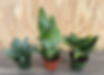 Screenshot 2026-03-09 at 7.03.02 PM.png