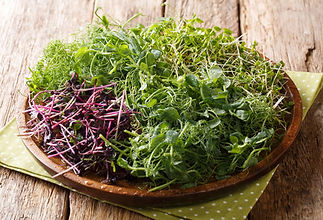 120720320-vegetarian-raw-food-microgreen