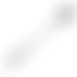 Riding crop μαστίγιο με κεφαλή πατούσας 47cm