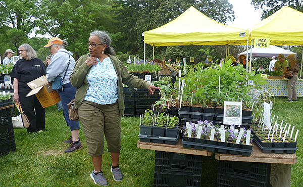 Loudoun Wildlife Conservancy Native Plant Sale