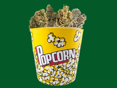 The Top 4 Cannabis Shows to Watch