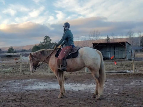 269436486_641272903973746_8083976239488484687_n (1).jpg