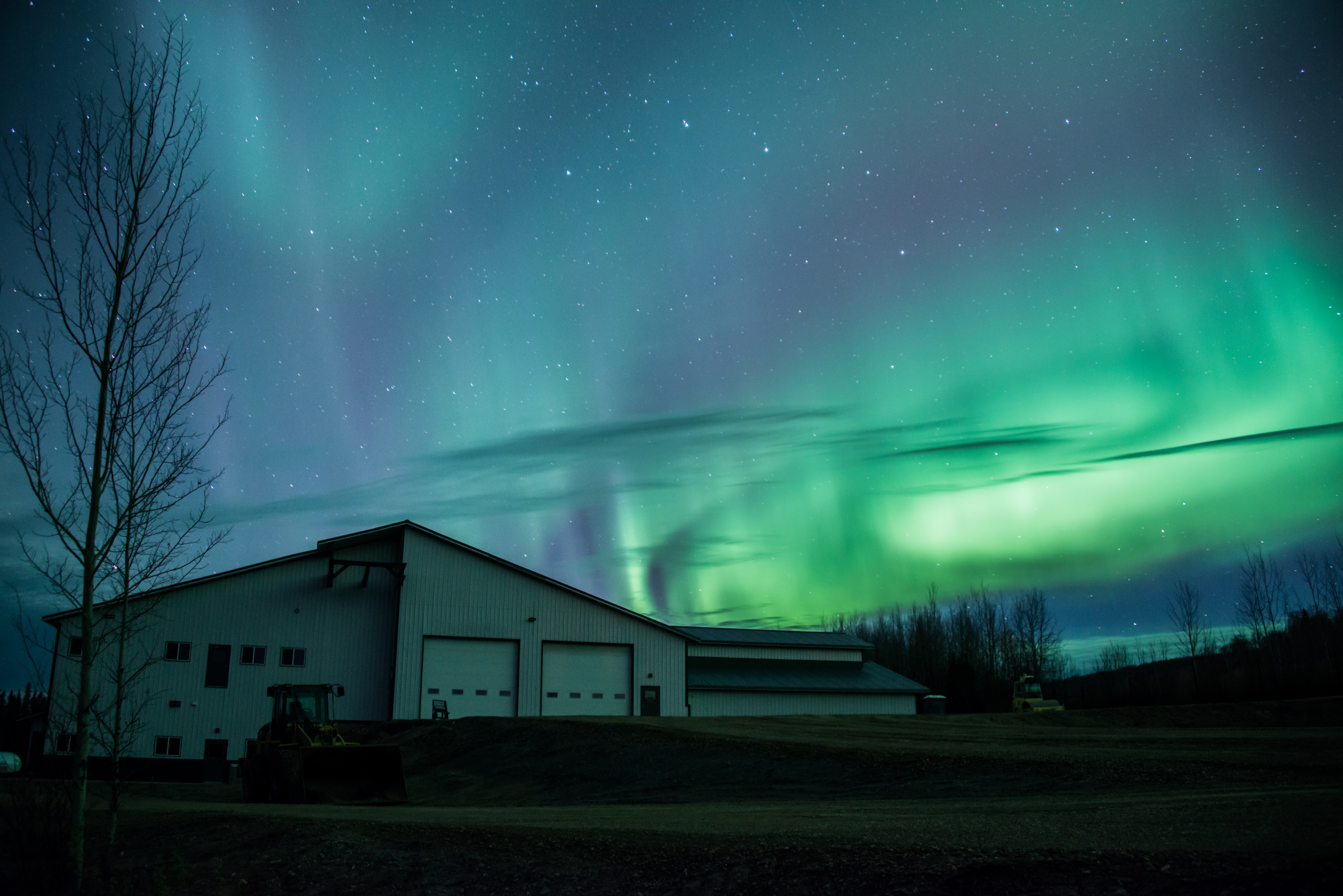 Northern Lights at Young Living Farm