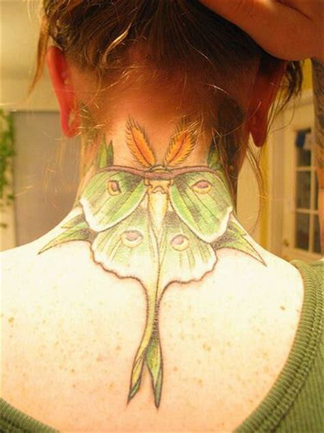 luna moth tattoo on back