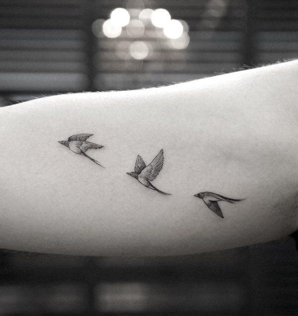birds tattoo