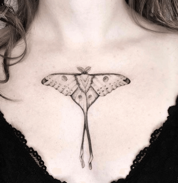 chest moth tattoo designs