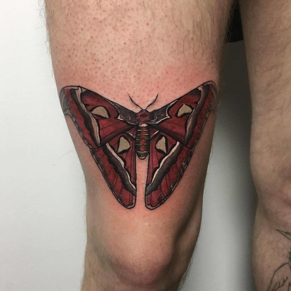 atlas moth tattoo on hand