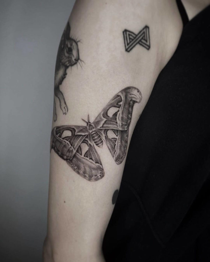 atlas moth tattoo on right arm