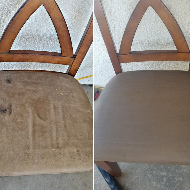 Home Fresh Step Carpet Cleaning