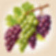 luscious grapes.jpg