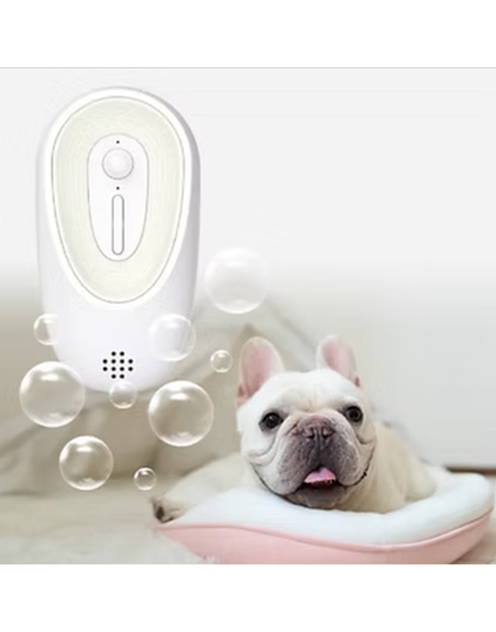 Pet Odor Eliminator for Litter Boxes